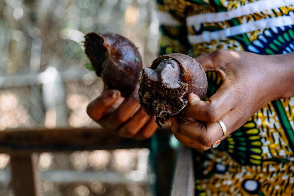 Florence Ayomo, renforcée par le projet SWEDD