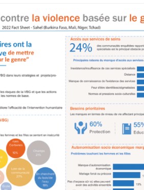 16 jours d’activisme contre la violence basée sur le genre - 2022 Fact Sheet - Sahel (Burkina Faso, Mali, Niger, Tchad)