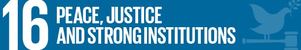 16 Peace, Justice And Strong Institutions