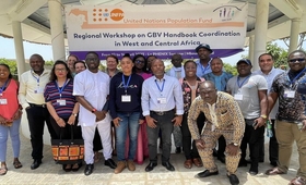 GBV Coordinators and Information Management Specialists trained on GBV Handbook Coordination Handbook