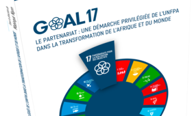 Release of a unique publication on SDG 17 that promotes partnership to transform Africa and the world 