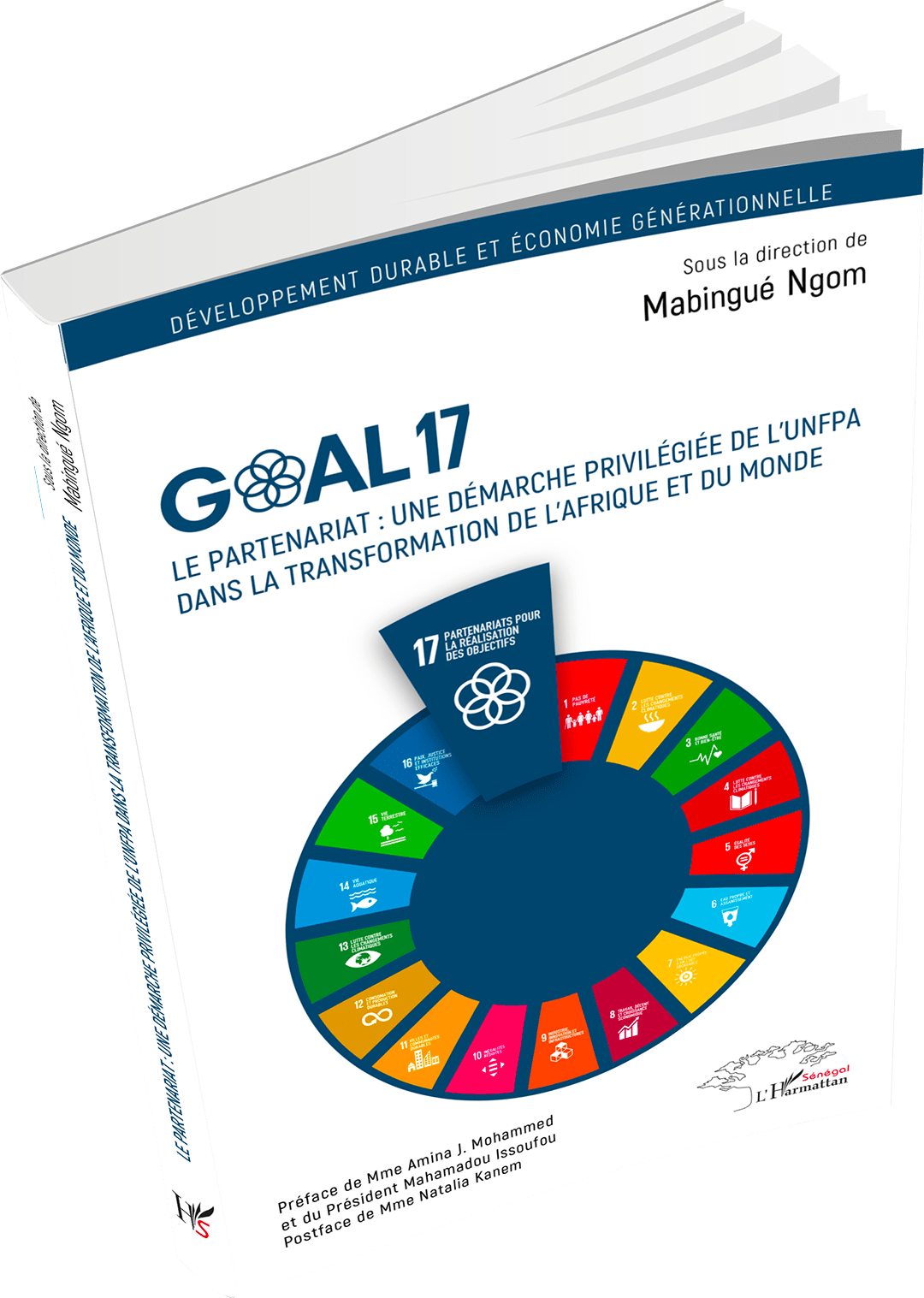 Publication d’un ouvrage exclusif sur l’ODD 17, qui favorise le partenariat pour la transformation de l’Afrique et du monde.