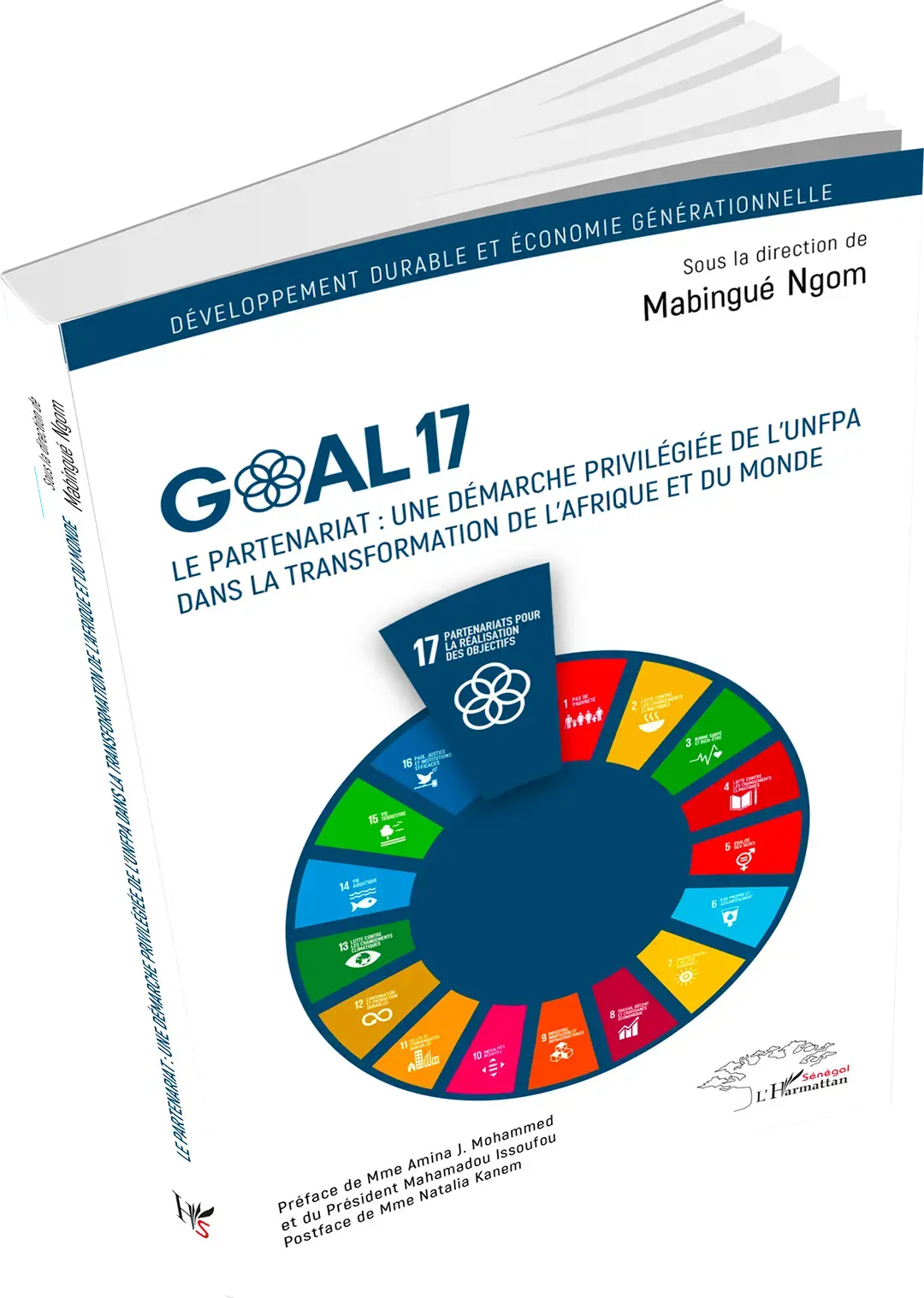 Release of a unique publication on SDG 17 that promotes partnership to transform Africa and the world 